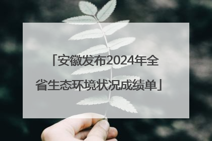 安徽发布2024年全省生态环境状况成绩单