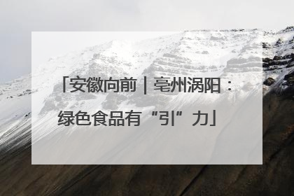 安徽向前｜亳州涡阳：绿色食品有“引”力