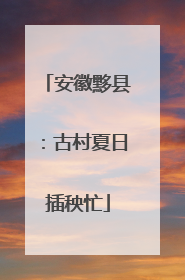 安徽黟县：古村夏日插秧忙