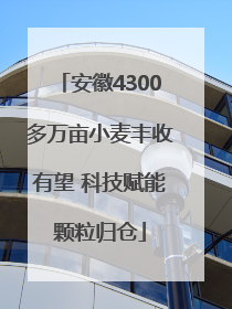 安徽4300多万亩小麦丰收有望 科技赋能颗粒归仓