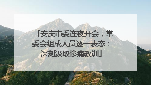 安庆市委连夜开会，常委会组成人员逐一表态：深刻汲取惨痛教训