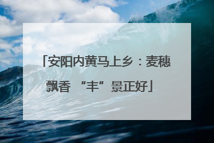 安阳内黄马上乡：麦穗飘香 “丰”景正好