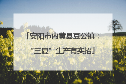 安阳市内黄县豆公镇：“三夏”生产有实招