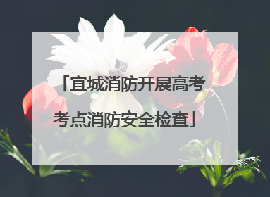 宜城消防开展高考考点消防安全检查
