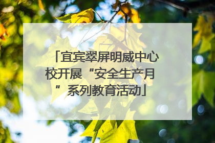 宜宾翠屏明威中心校开展“安全生产月”系列教育活动
