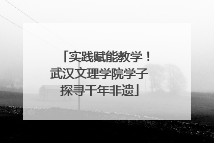 实践赋能教学！武汉文理学院学子探寻千年非遗