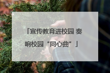宣传教育进校园 奏响校园“同心曲”