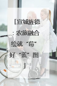 宣城旌德：农旅融合绘就“莓”好“蓝”图