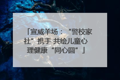 宣威羊场：“警校家社”携手 共绘儿童心理健康“同心圆”