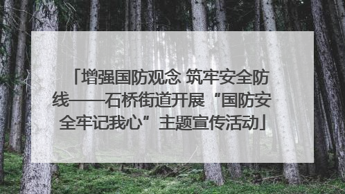 增强国防观念 筑牢安全防线——石桥街道开展“国防安全牢记我心”主题宣传活动