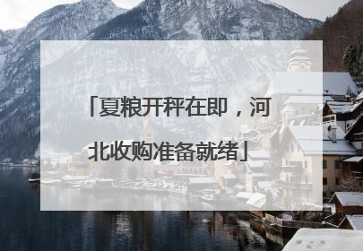 夏粮开秤在即，河北收购准备就绪