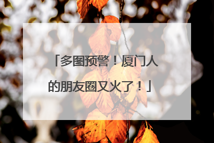 多图预警！厦门人的朋友圈又火了！