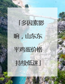 多因素影响，山东东平鸡蛋价格持续低迷