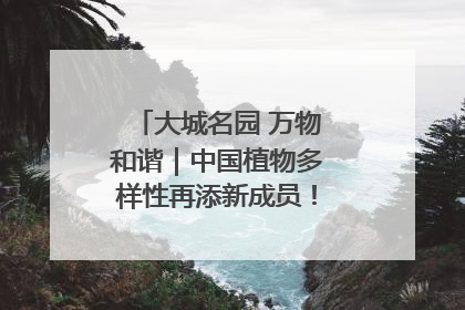 大城名园 万物和谐｜中国植物多样性再添新成员！它只在西藏墨脱