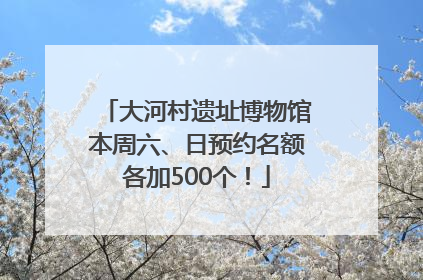大河村遗址博物馆本周六、日预约名额各加500个！