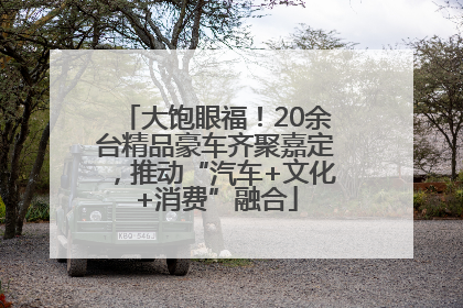 大饱眼福！20余台精品豪车齐聚嘉定，推动“汽车+文化+消费”融合