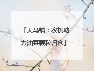 天马镇：农机助力油菜颗粒归仓