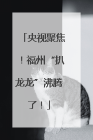 央视聚焦！福州“扒龙龙”沸腾了！