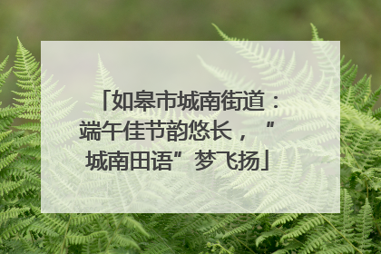 如皋市城南街道：端午佳节韵悠长，“城南田语”梦飞扬