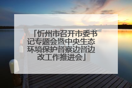 忻州市召开市委书记专题会暨中央生态环境保护督察边督边改工作推进会