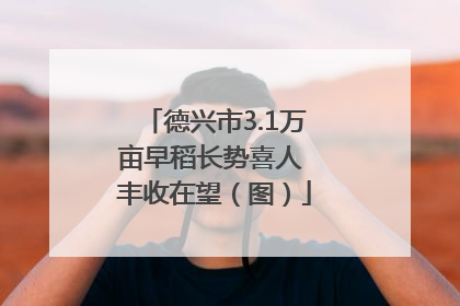 德兴市3.1万亩早稻长势喜人 丰收在望（图）