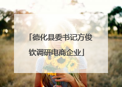 德化县委书记方俊钦调研电商企业