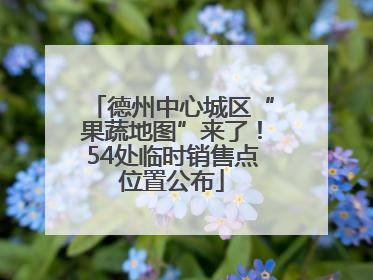 德州中心城区“果蔬地图”来了！54处临时销售点位置公布