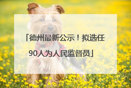 德州最新公示！拟选任90人为人民监督员