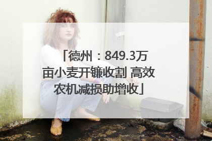 德州：849.3万亩小麦开镰收割 高效农机减损助增收