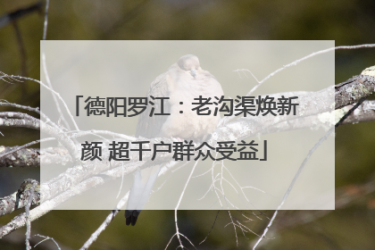 德阳罗江：老沟渠焕新颜 超千户群众受益