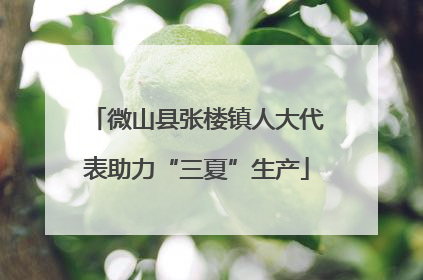 微山县张楼镇人大代表助力“三夏”生产