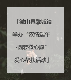微山县驩城镇举办“浓情端午·圆梦微心愿”爱心帮扶活动