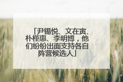 尹锡悦、文在寅、朴槿惠、李明博，他们纷纷出面支持各自阵营候选人