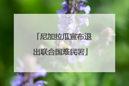 尼加拉瓜宣布退出联合国难民署
