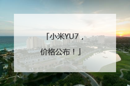小米YU7，价格公布！
