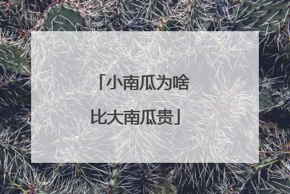 小南瓜为啥比大南瓜贵