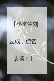 小学生刘云成，点名表扬！