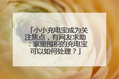 小小充电宝成为关注焦点，有网友求助：家里囤积的充电宝可以如何处理？
