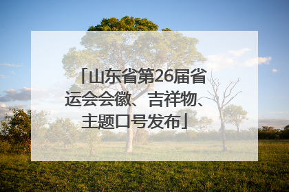 山东省第26届省运会会徽、吉祥物、主题口号发布