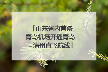 山东省内首条 青岛机场开通青岛=清州直飞航线