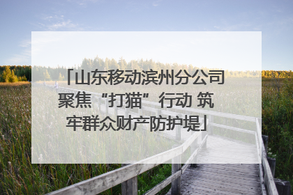 山东移动滨州分公司聚焦“打猫”行动 筑牢群众财产防护堤