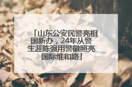 山东公安民警亮相国新办，24年从警生涯陈强用警徽照亮国际维和路