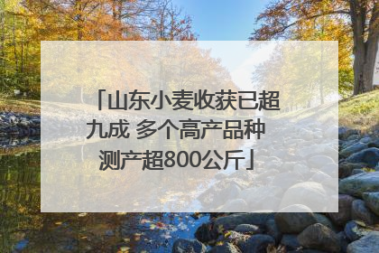 山东小麦收获已超九成 多个高产品种测产超800公斤