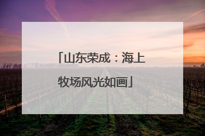 山东荣成：海上牧场风光如画