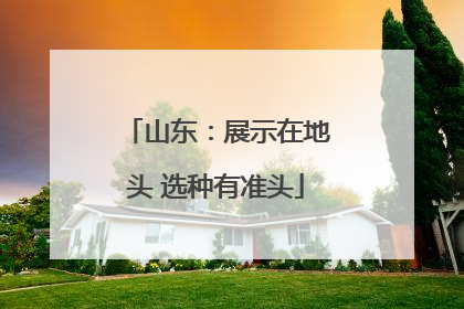 山东：展示在地头 选种有准头