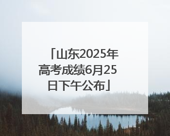 山东2025年高考成绩6月25日下午公布