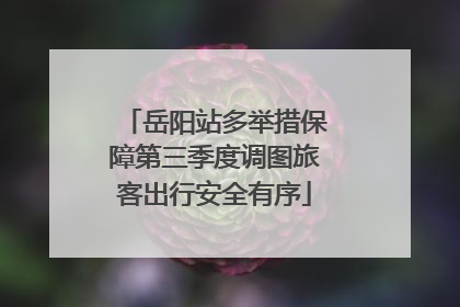 岳阳站多举措保障第三季度调图旅客出行安全有序