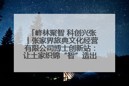 峰林聚智 科创兴张丨张家界旅典文化经营有限公司博士创新站：让土家织锦“智”造出非遗新传奇