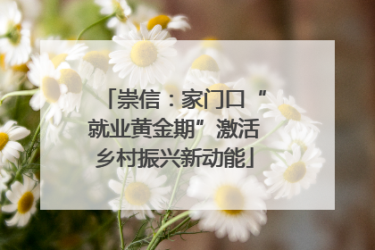 崇信：家门口“就业黄金期”激活乡村振兴新动能