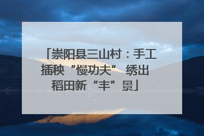 崇阳县三山村：手工插秧“慢功夫” 绣出稻田新“丰”景
